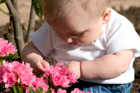 Baby with Flowers iStockphoto.com/grinerswife